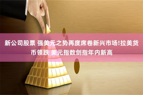 新公司股票 强美元之势再度席卷新兴市场!拉美货币领跌 美元指数剑指年内新高