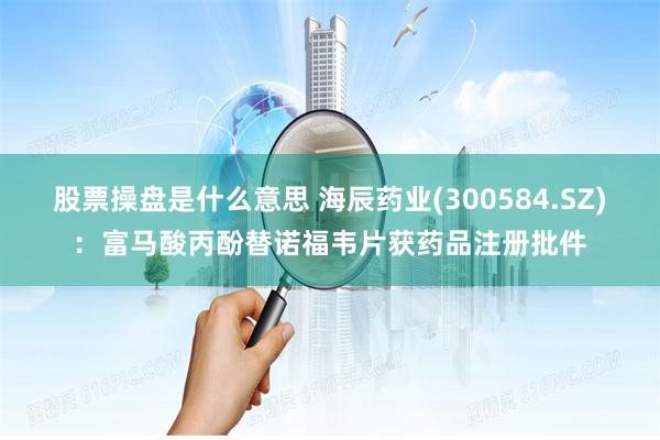股票操盘是什么意思 海辰药业(300584.SZ)：富马酸丙酚替诺福韦片获药品注册批件