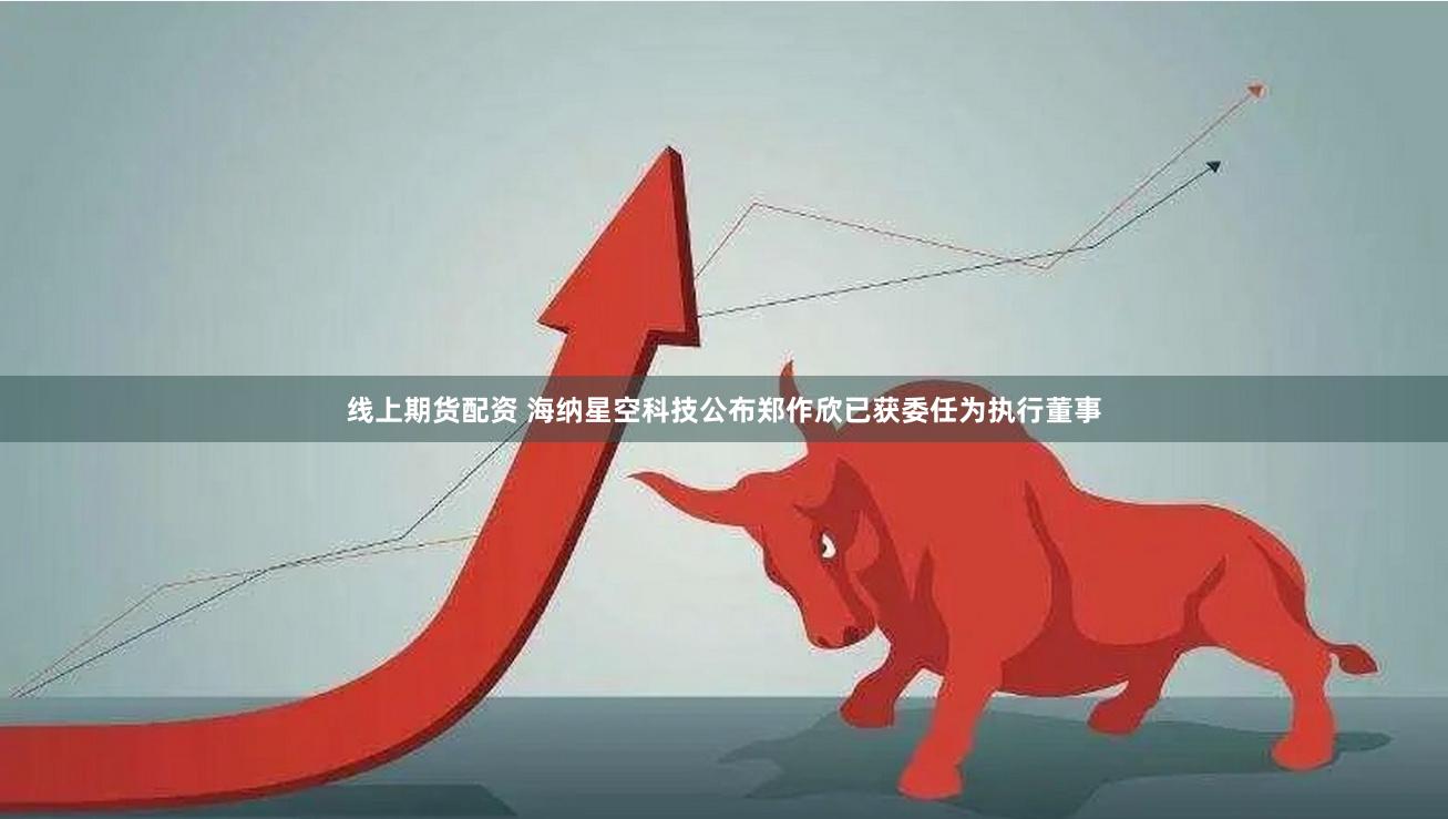 线上期货配资 海纳星空科技公布郑作欣已获委任为执行董事