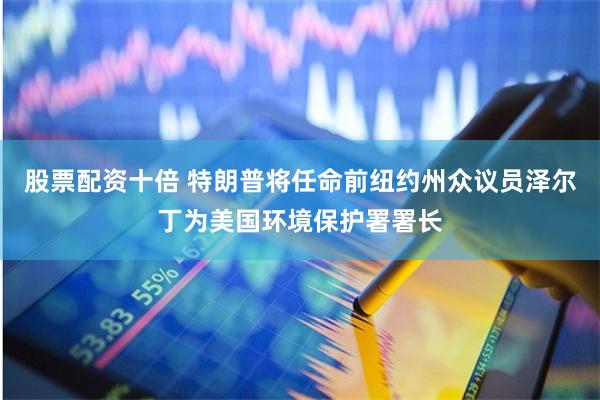 股票配资十倍 特朗普将任命前纽约州众议员泽尔丁为美国环境保护署署长