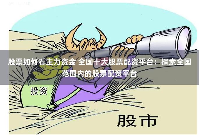 股票如何看主力资金 全国十大股票配资平台：探索全国范围内的股票配资平台
